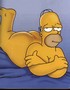 Homer Nat